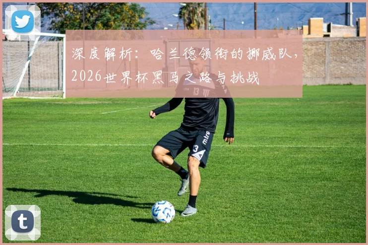 深度解析：哈兰德领衔的挪威队，2026世界杯黑马之路与挑战