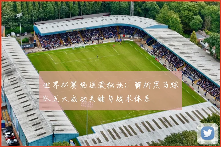 世界杯赛场逆袭秘诀：解析黑马球队五大成功关键与战术体系